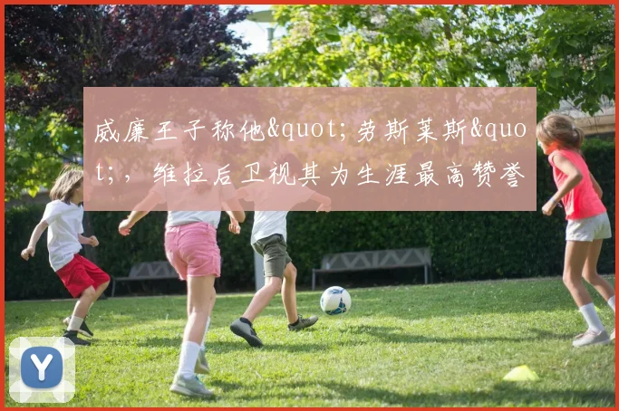 威廉王子称他"劳斯莱斯"，维拉后卫视其为生涯最高赞誉