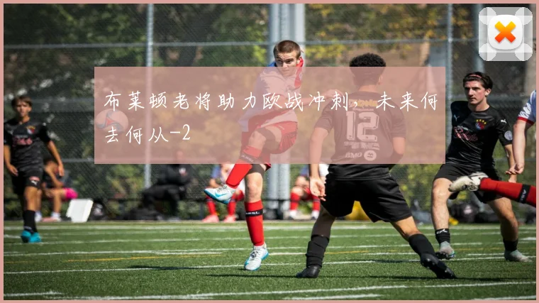 布莱顿老将助力欧战冲刺，未来何去何从