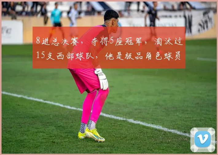 8进总决赛，夺得5座冠军，淘汰过15支西部球队，他是极品角色球员_1