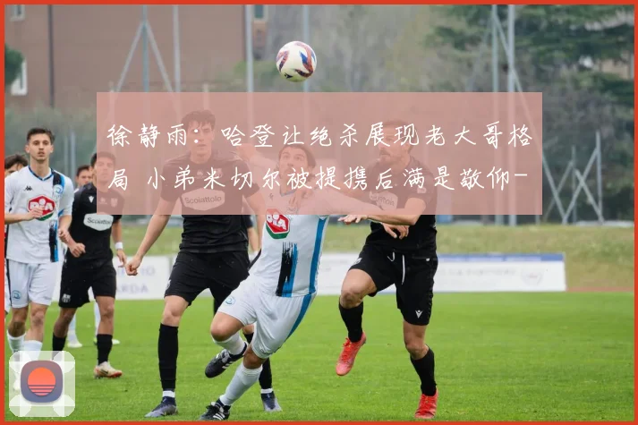 徐静雨：哈登让绝杀展现老大哥格局 小弟米切尔被提携后满是敬仰