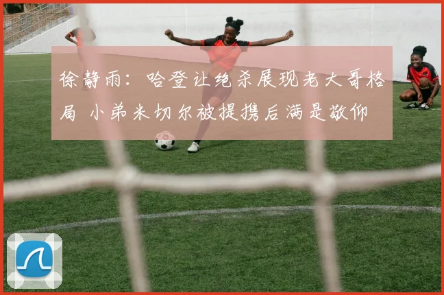 徐静雨：哈登让绝杀展现老大哥格局 小弟米切尔被提携后满是敬仰